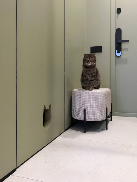 Как я сделала ремонт в маленькой прихожей, чтобы она была удобной даже для кота