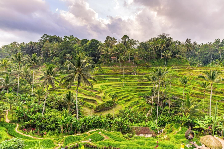 Брак на грани и экстремальные испытания: что было в новой серии шоу «Ставка на любовь»