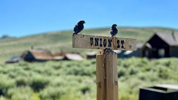 Города-призраки на краю света — посмотрите на жизнь без людей