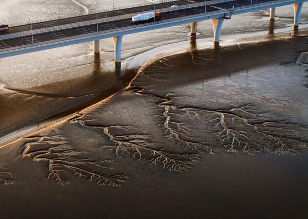 Вид с воздуха на узоры в форме деревьев, появляющиеся на русле реки Цяньтан в Цзясине, провинция Чжэцзян, Китай.
