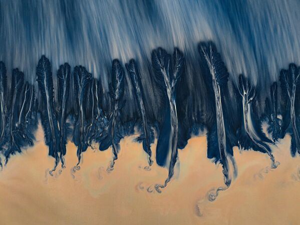 Вид с воздуха на узоры в форме деревьев, появляющиеся на русле реки Цяньтан в Цзясине, провинция Чжэцзян, Китай.