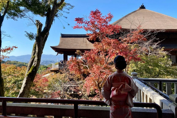 «К посольству подошел в 7:30, был примерно 70-й»: россияне срочно устремились за визами в Японию