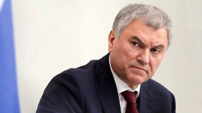 komu-svo-akomu-pora-nashim-chinovnikam-prekratit-ezdit-pozagranicam-volodin-cbdb1c8.jpg