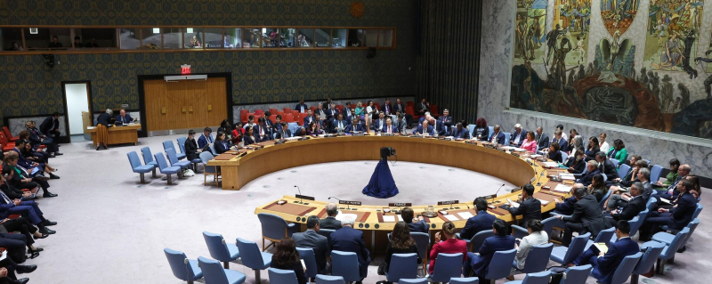 Заседание Совета Безопасности ООН