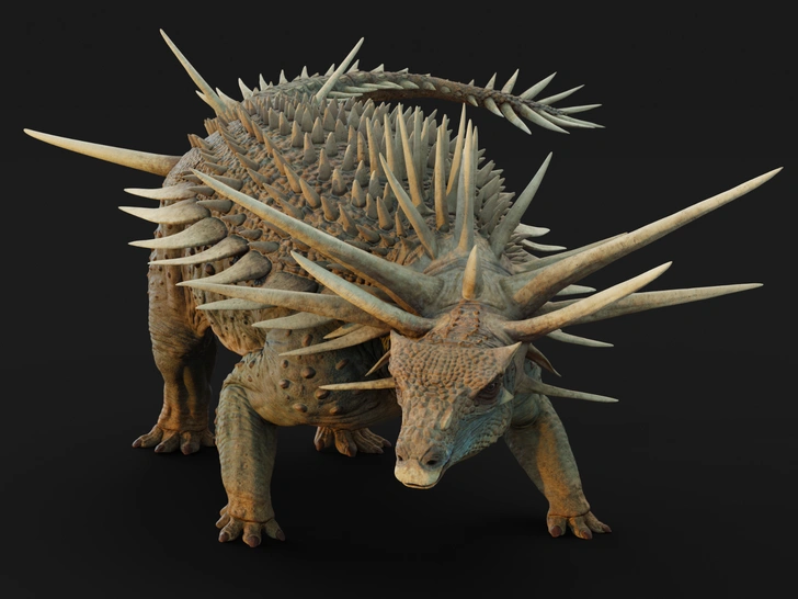 mezozojskij-tank-s-hvostom-dubinoj-vzgljanite-na-ankilozavra-kotorogo-nashli-paleontologi-v-marokko-277a450.webp