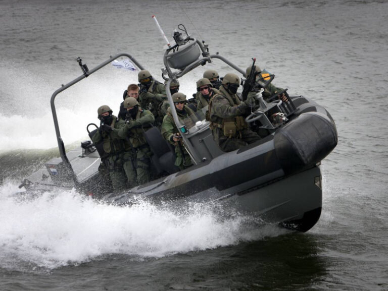 nyt-specnaz-ssha-ubil-zhitelej-kndr-vo-vremja-provalnoj-operacii-v-2019-godu-98e6204.jpg