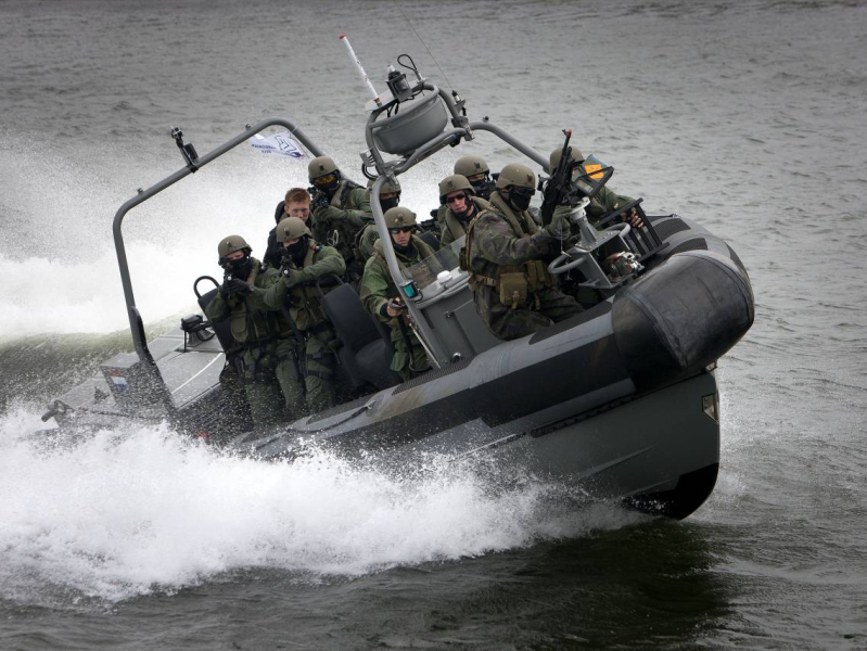nyt-specnaz-ssha-ubil-zhitelej-kndr-vo-vremja-provalnoj-operacii-v-2019-godu-98e6204.jpg