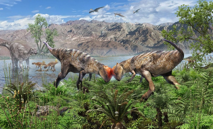 torchal-iz-skaly-kak-dragocennost-v-pustyne-gobi-nashli-drevnejshego-iz-izvestnyh-kupoloobraznyh-dinozavrov-74dbf39.webp