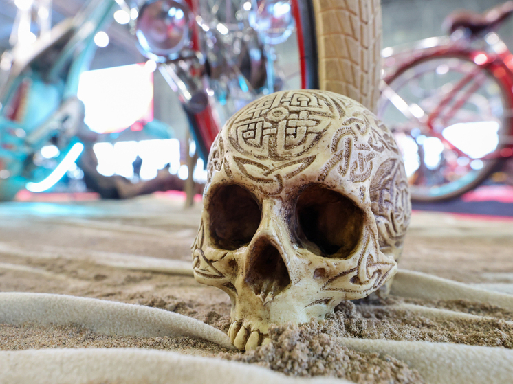 В Греции нашли странный череп, вплавленный в стену: он может быть внеземной