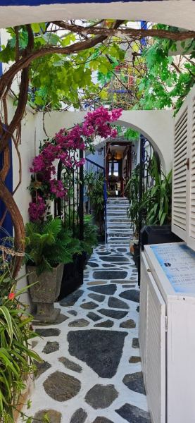 В нетипичную Турцию в бархатный сезон-2025: советы и лайфхаки от петербурженки