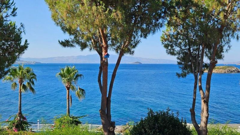 В нетипичную Турцию в бархатный сезон-2025: советы и лайфхаки от петербурженки