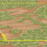 v4-460px-Level-and-Seed-a-Lawn-Step-1-Version-2