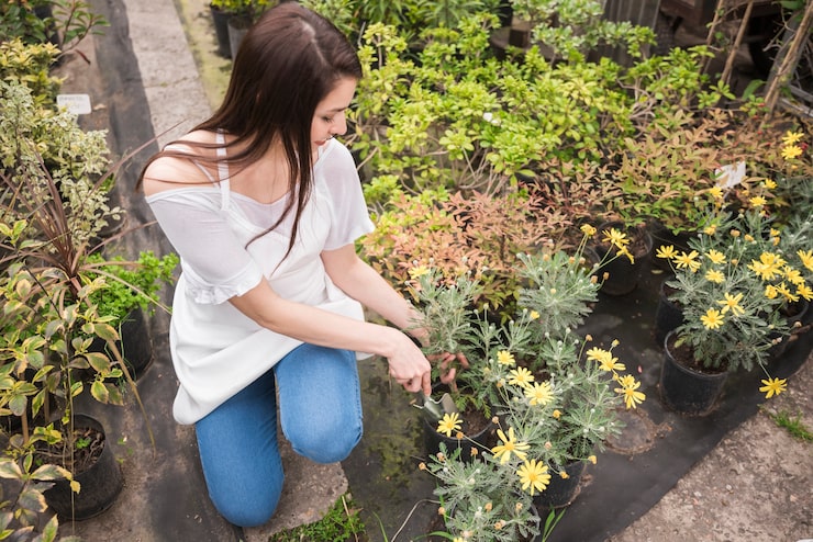 woman-taking-care-yellow-flowers-potted-plant_23-2147948264